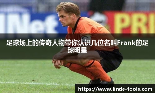 星空综合股份(中国)